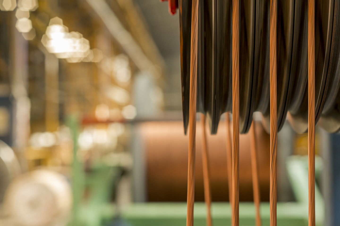 HiDubai-business-belden-wire-and-cable-b2b-services-distributors-wholesalers-dubai-internet-city-al-sufouh-2-dubai-2