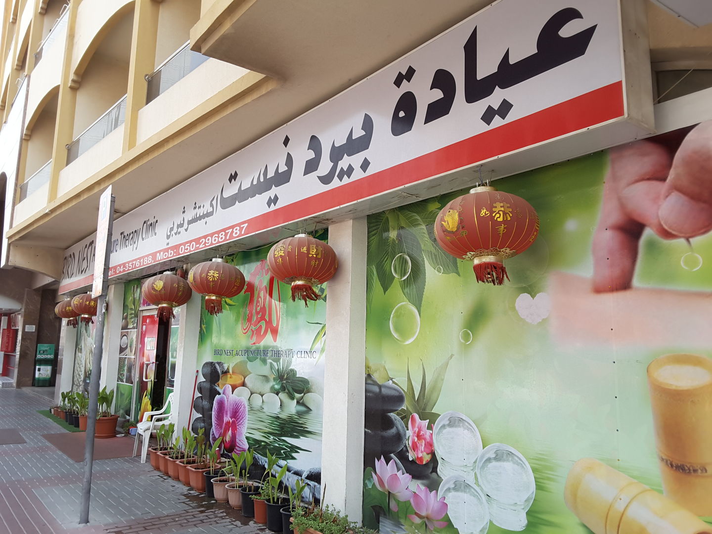 Bird Nest Acupuncture Therapy Clinic(Specialty Clinics) in Al Karama