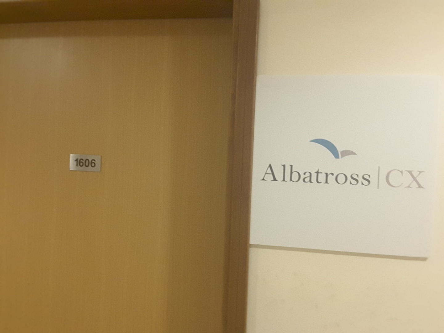 HiDubai-business-albatross-cx-b2b-services-business-process-outsourcing-services-tecom-al-thanyah-1-dubai-2