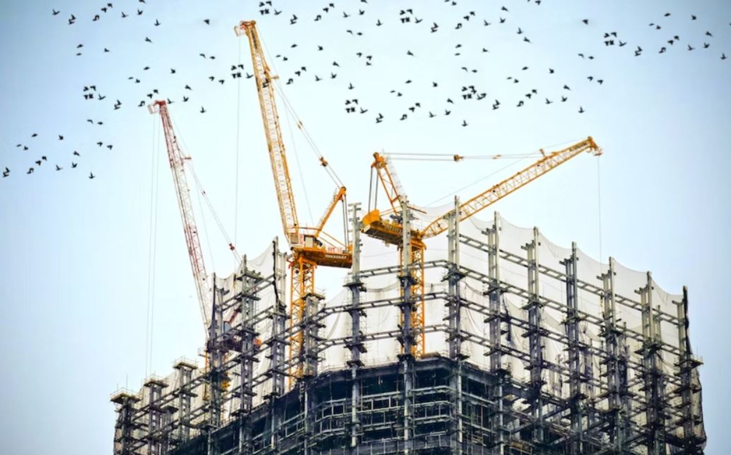 HiDubai-business-akmi-building-materials-trading-construction-heavy-industries-architects-design-services-international-city-warsan-1-dubai-1