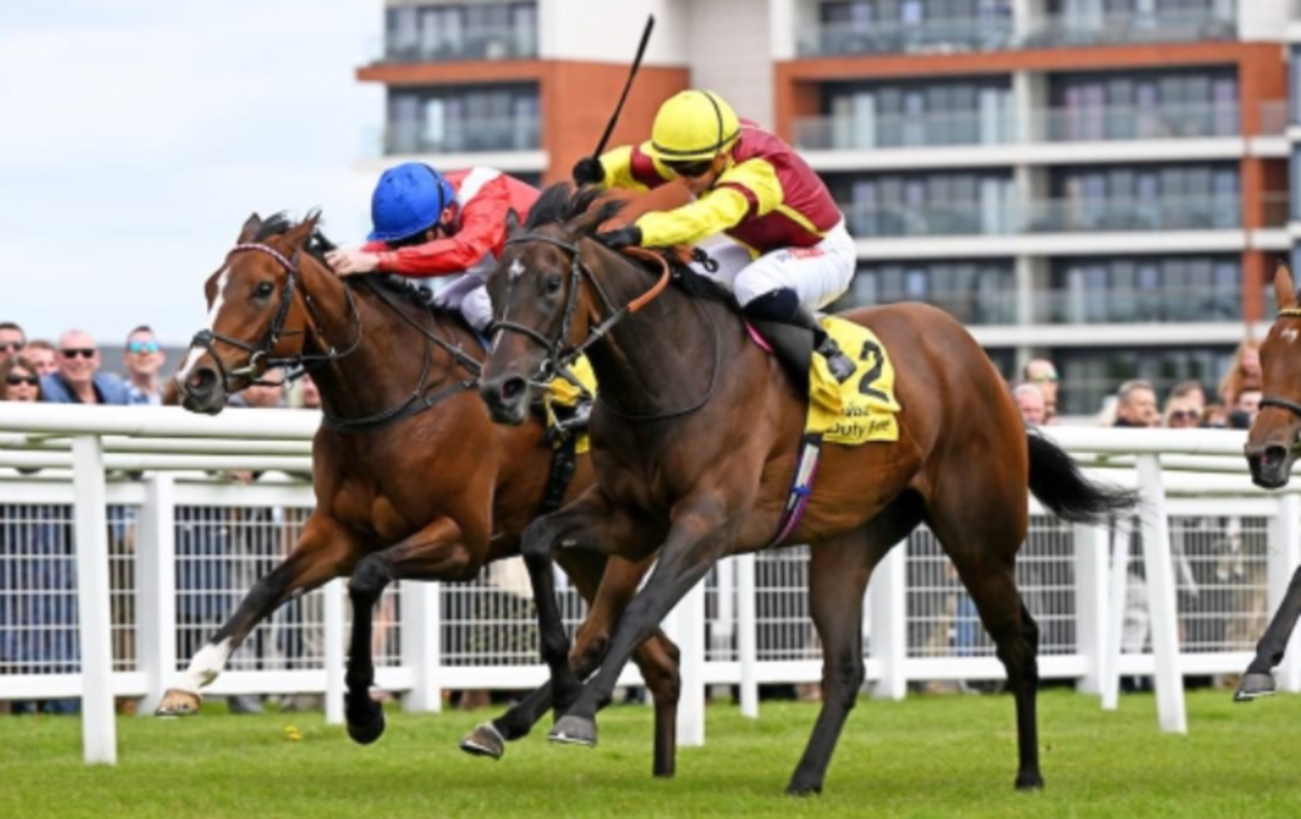 HiDubai-business-dubai-horse-racing-information-centre-sports-fitness-sporting-venues-al-wasl-dubai