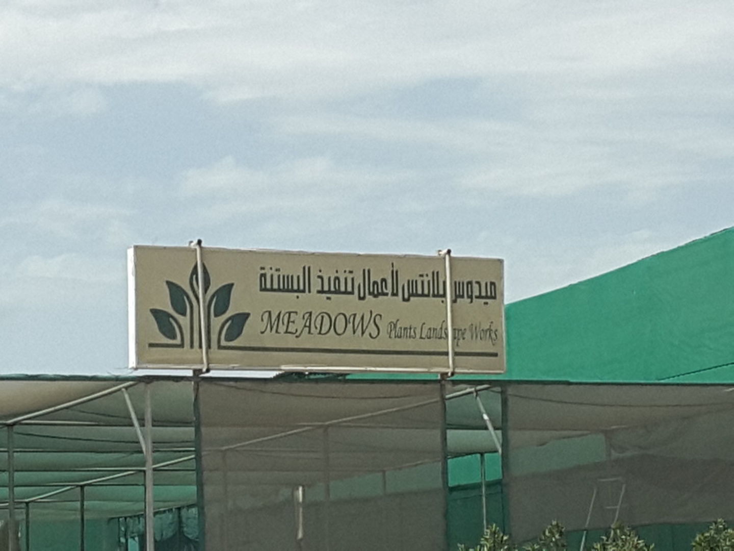 HiDubai-business-meadows-plants-landscape-works-home-gardening-landscaping-warsan-3-dubai