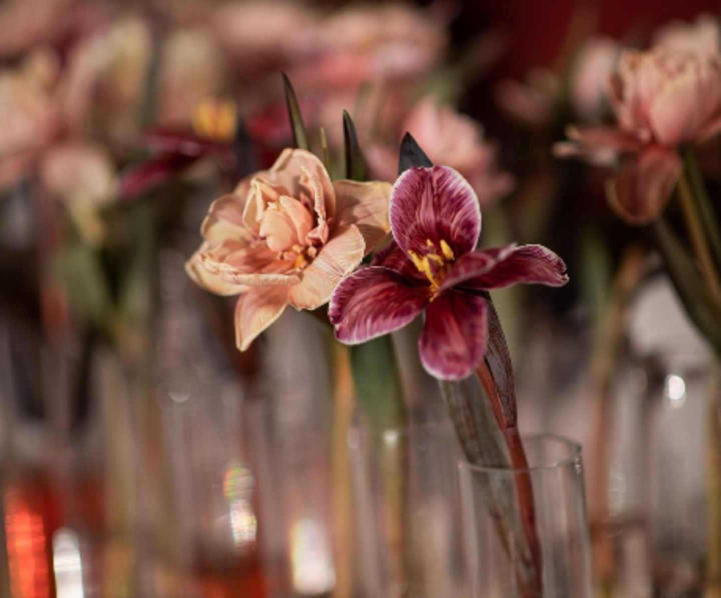 HiDubai-business-meraki-events-b2b-services-event-management-ras-al-khor-industrial-1-dubai