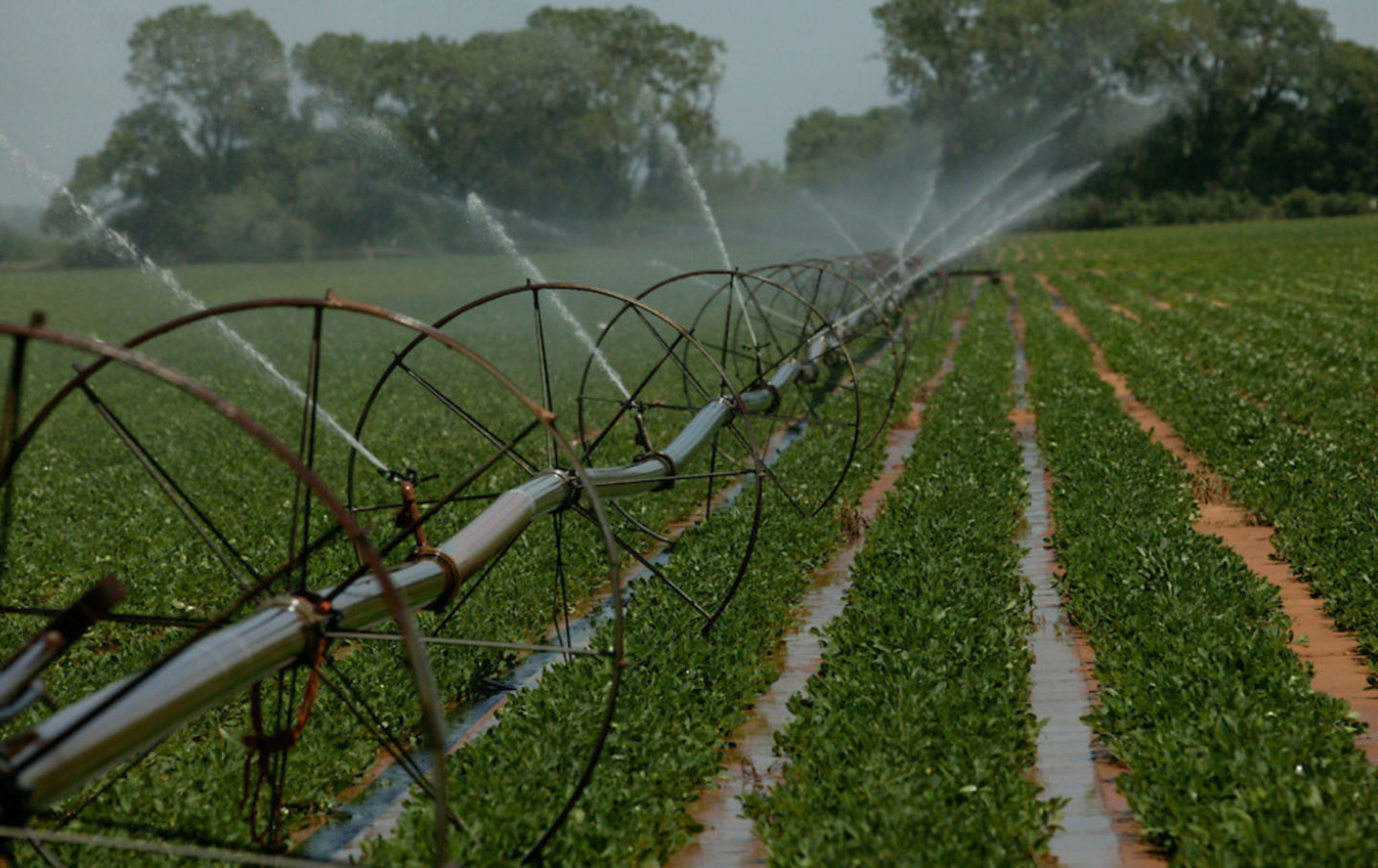 HiDubai-business-desert-delight-irrigation-and-pool-equipments-trading-b2b-services-distributors-wholesalers-al-quoz-industrial-4-dubai