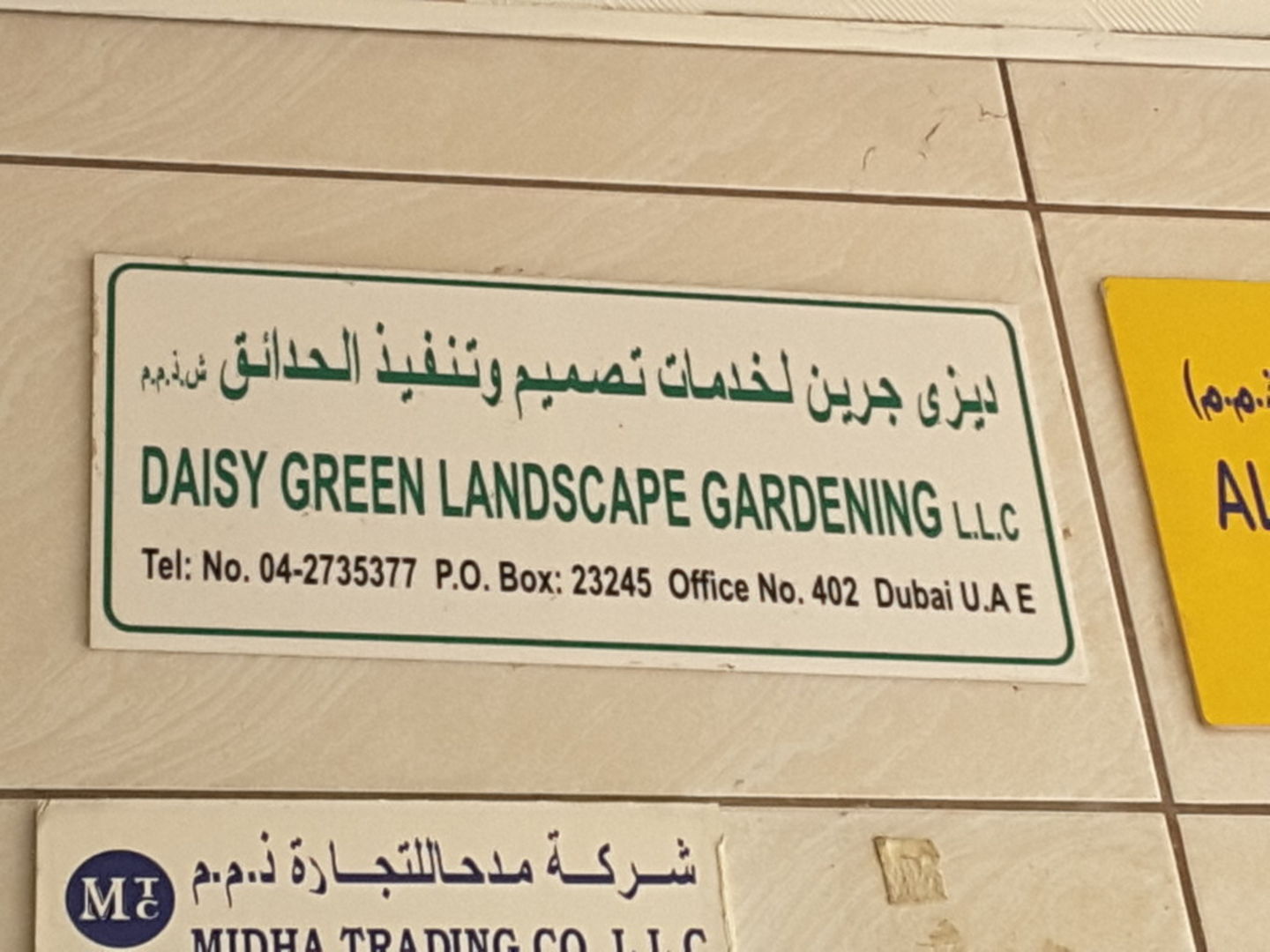HiDubai-business-daisy-green-landscape-gardening-home-gardening-landscaping-al-murar-dubai-2