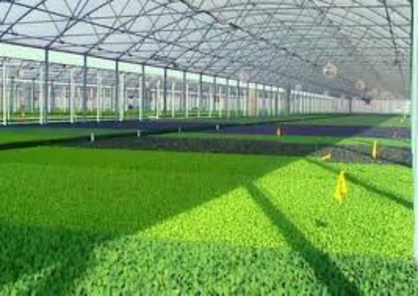 HiDubai-business-hail-agricultural-feasibility-studies-consultancies-b2b-services-business-consultation-services-al-garhoud-dubai