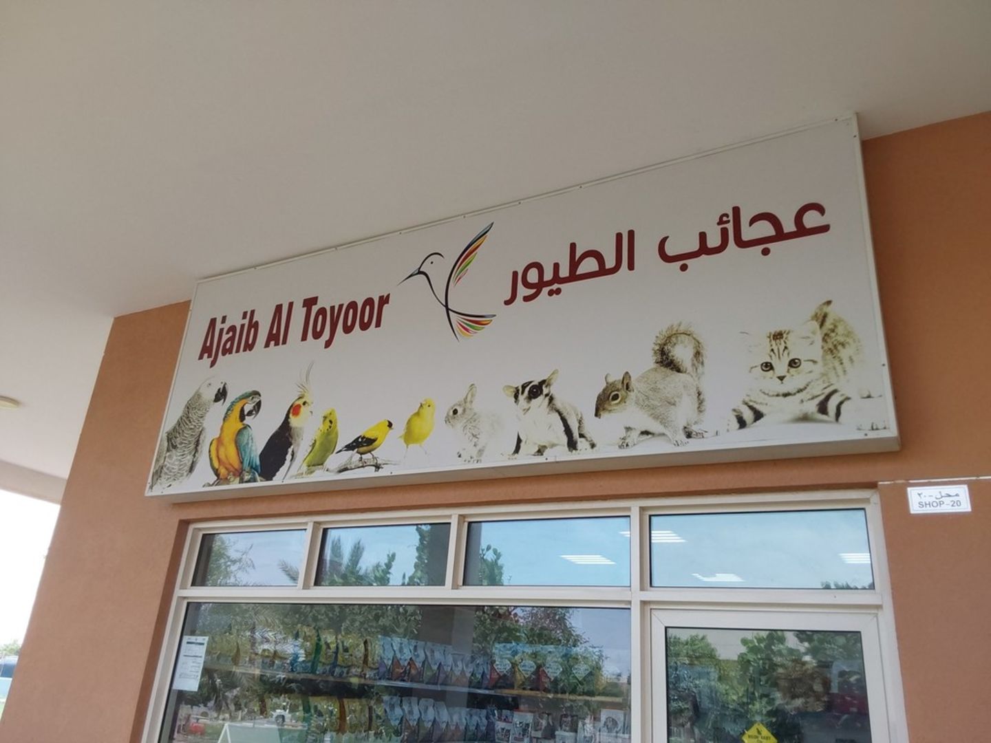 HiDubai-business-ajaib-altoyoor-trading-animals-pets-plants-pet-food-accessories-stores-warsan-3-dubai