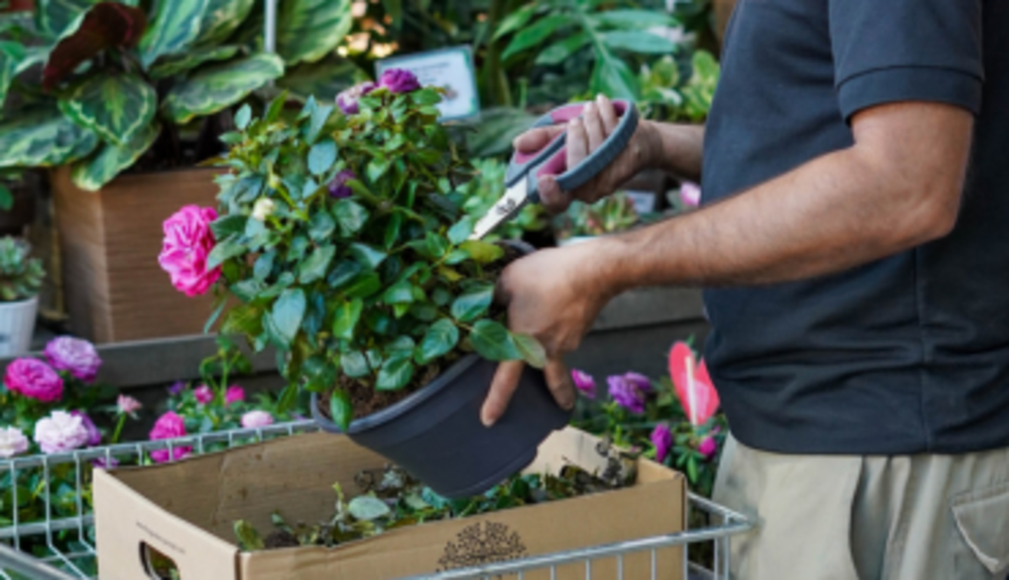 HiDubai-business-the-garden-concept-home-gardening-landscaping-al-quoz-industrial-3-dubai