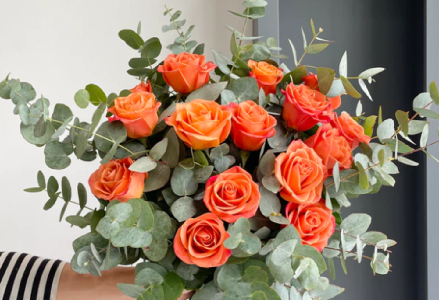 HiDubai-business-florette-animals-pets-plants-plants-gardening-stores-jumeirah-park-al-thanyah-5-dubai