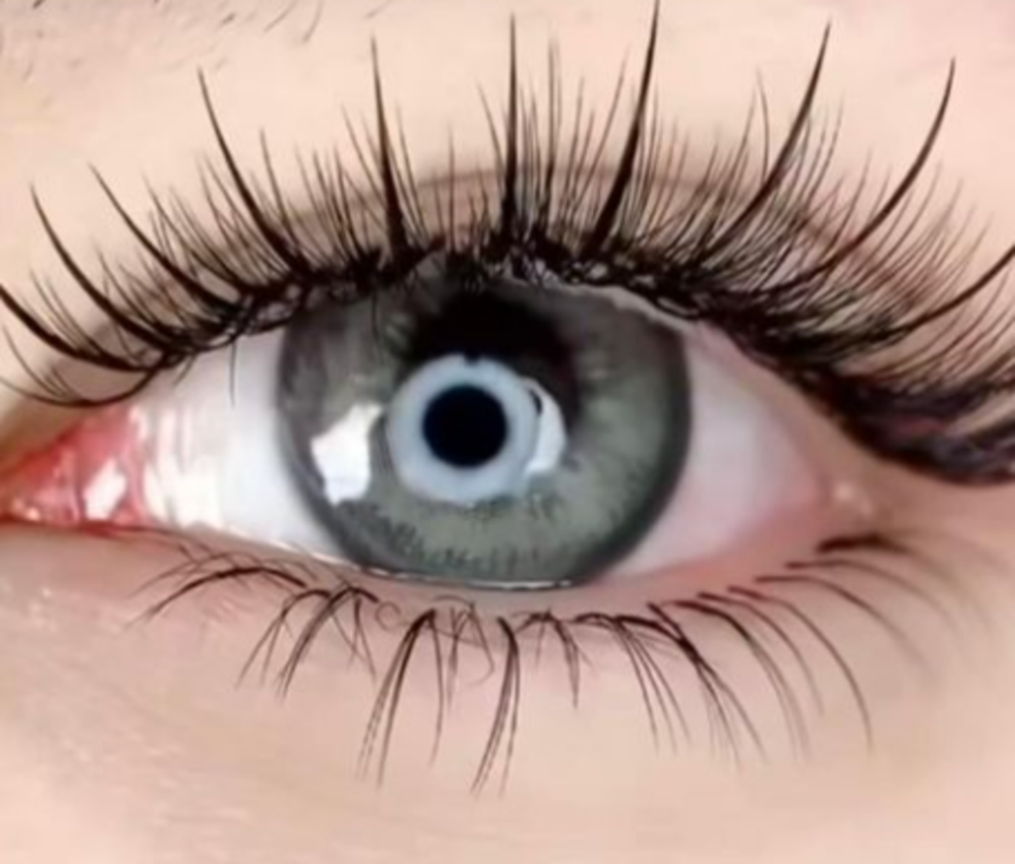 HiDubai-business-spectrum-beauty-salon-beauty-wellness-health-beauty-salons-dubai-silicon-oasis-nadd-hessa-dubai