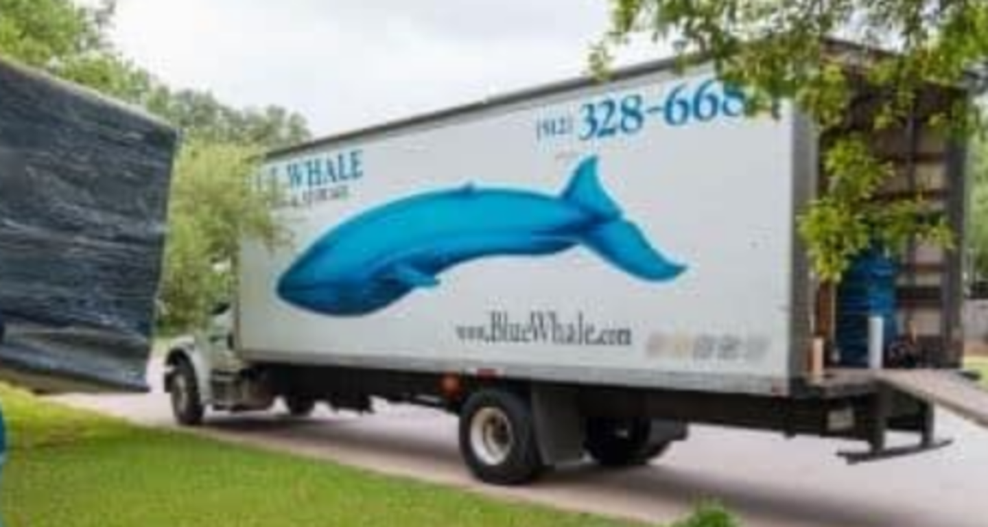 HiDubai-business-blue-whale-environment-services-shipping-logistics-moving-storage-services-dubai-maritime-city-dubai