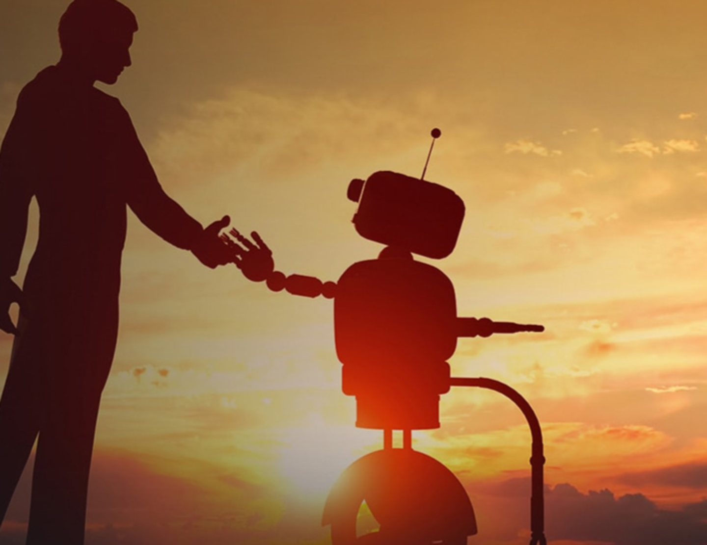 HiDubai-business-netways-fz-b2b-services-it-services-dubai-media-city-al-sufouh-2-dubai