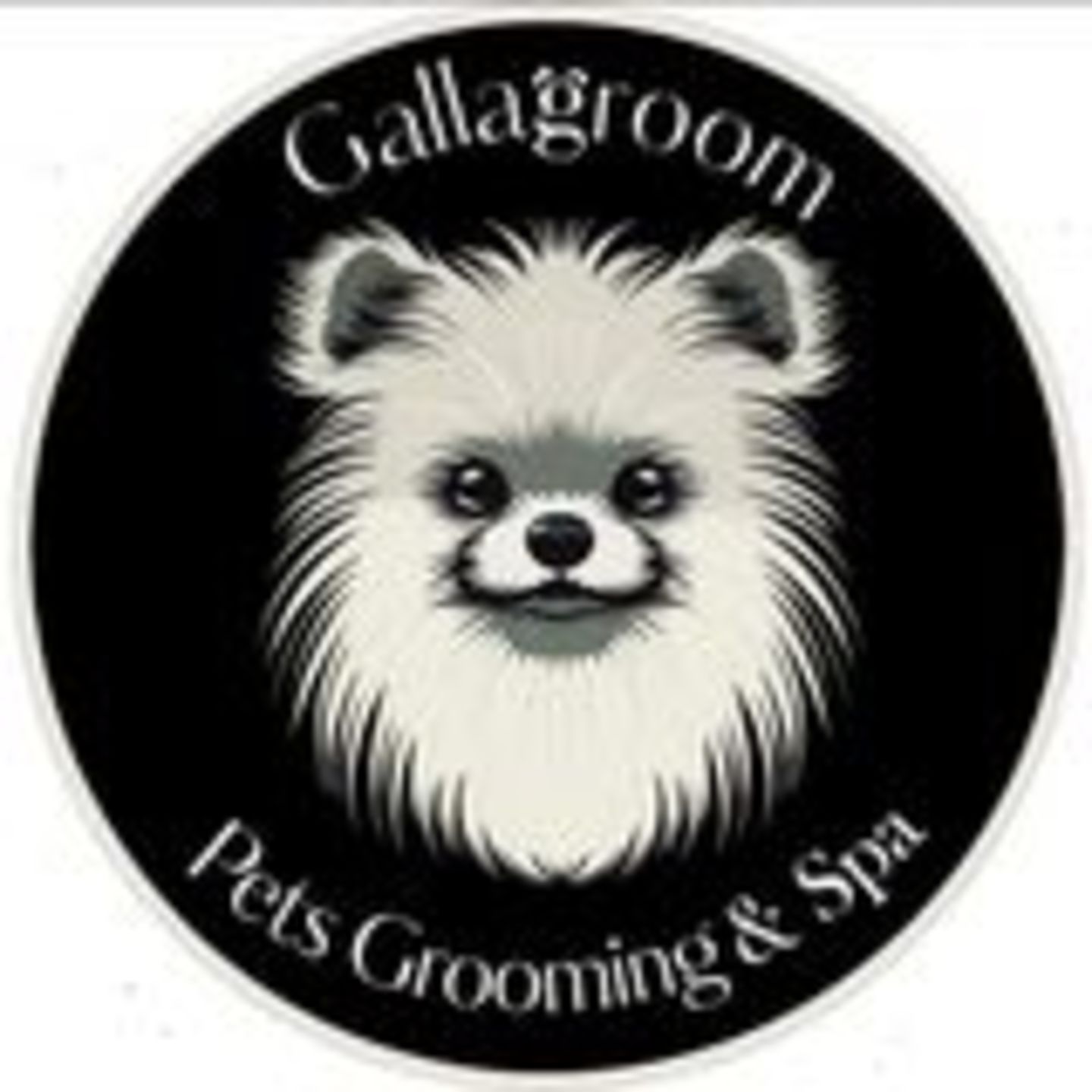 HiDubai-business-gallagroom-pets-grooming-spa-animals-pets-plants-pet-grooming-centres-dubai-production-city-dubai
