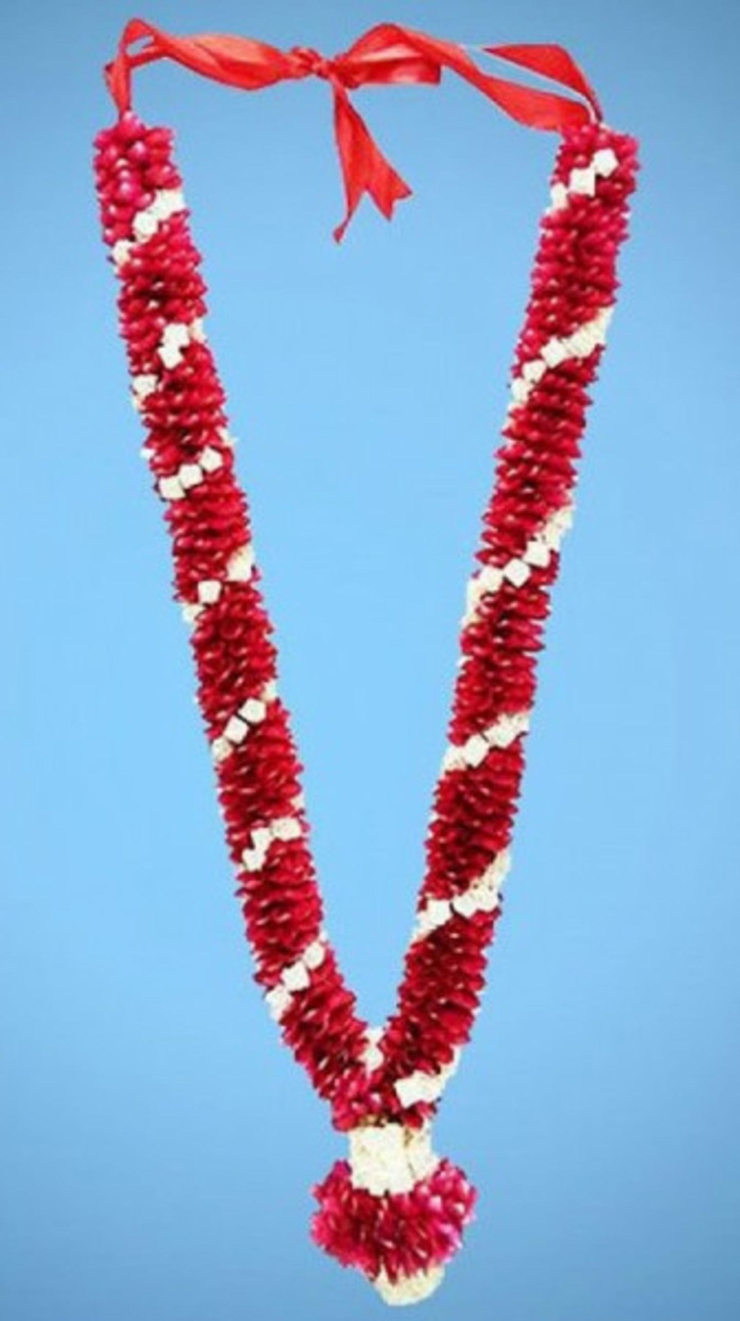 HiDubai-business-perumal-flowers-general-trading-animals-pets-plants-plants-gardening-stores-dubai-silicon-oasis-nadd-hessa-dubai