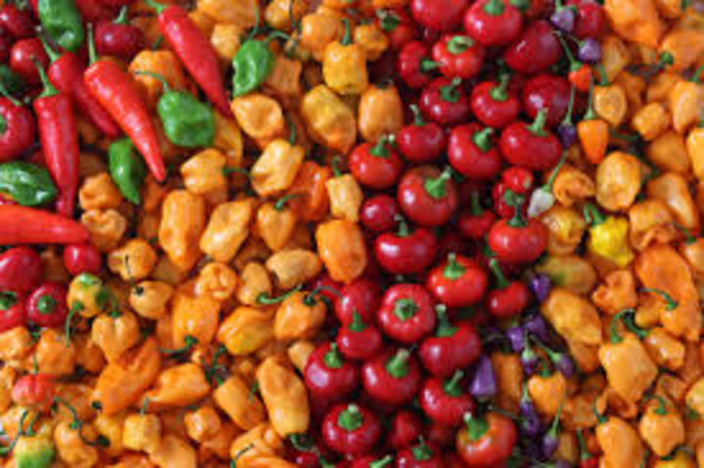 HiDubai-business-satrah-general-trading-b2b-services-food-stuff-trading-al-ras-dubai