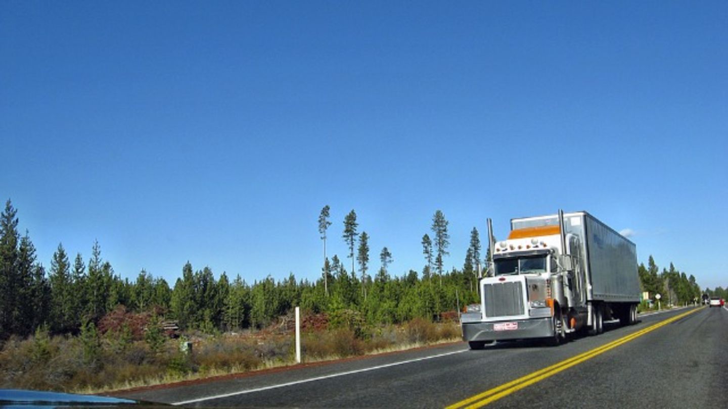 HiDubai-business-muhammad-zaheer-transport-by-heavy-light-trucks-shipping-logistics-road-cargo-services-al-murar-dubai-2