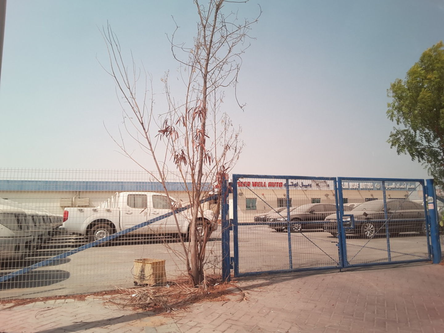 HiDubai-business-steer-well-auto-transport-vehicle-services-used-car-dealers-ras-al-khor-industrial-3-dubai-2