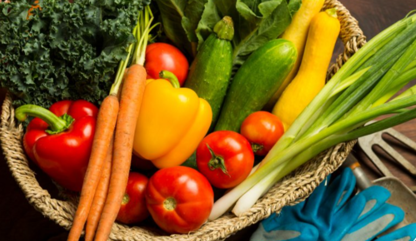 HiDubai-business-fresho-supermarket-shopping-supermarkets-hypermarkets-grocery-stores-jumeirah-village-circle-al-barsha-south-4-dubai