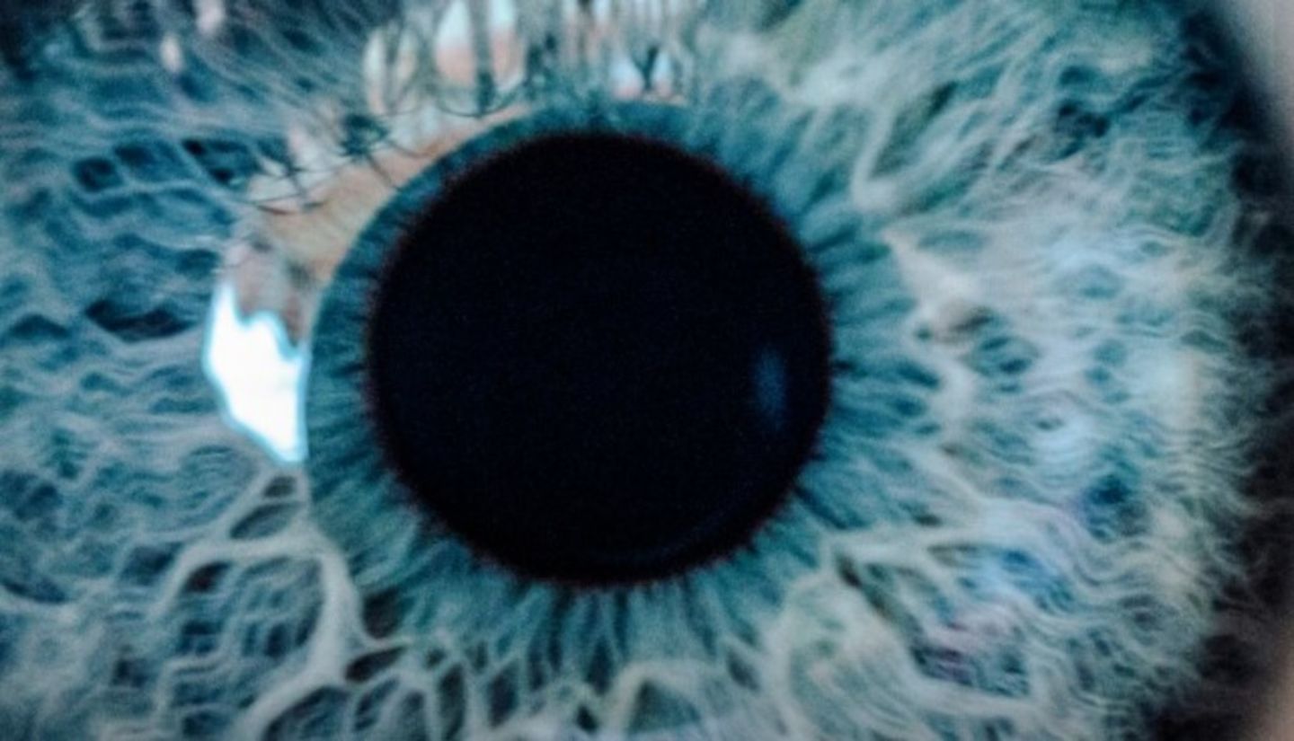 HiDubai-business-johnson-johnson-middle-east-beauty-wellness-health-healthcare-dubai-healthcare-city-umm-hurair-2-dubai