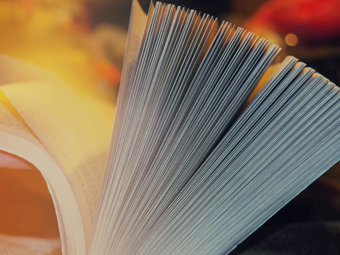 HiDubai-business-exotrade-dmcc-b2b-services-distributors-wholesalers-jumeirah-lake-towers-al-thanyah-5-dubai