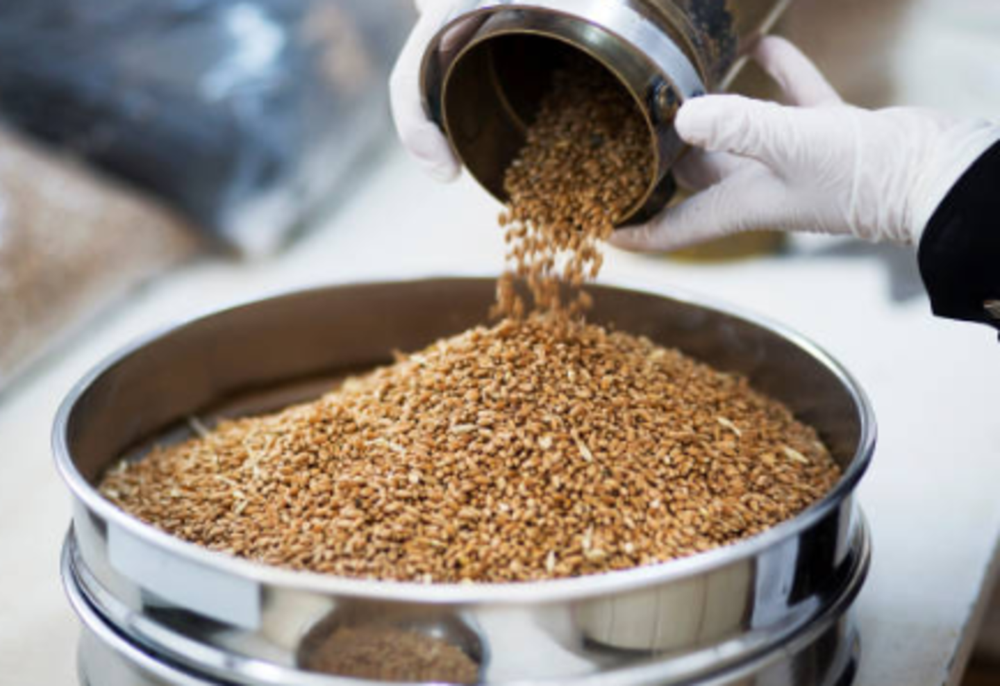 HiDubai-business-four-star-foodstuff-trading-shopping-supermarkets-hypermarkets-grocery-stores-ayal-nasir-dubai