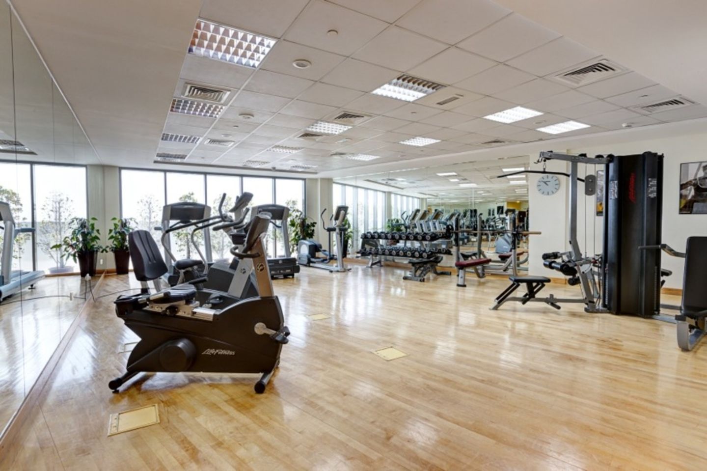 Orange Gym(Gyms, Fitness Centres & Pools) in Al Barsha 1, Dubai HiDubai