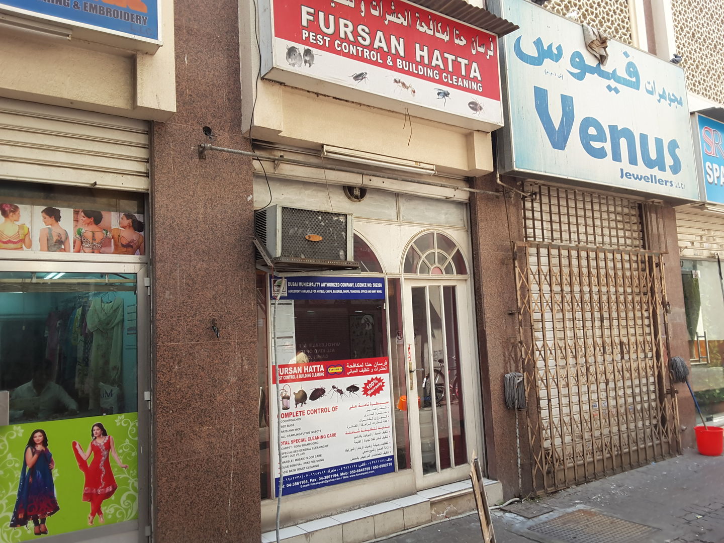 HiDubai-business-fursan-hatta-pest-control-building-cleaning-home-pest-control-disinfection-services-al-raffa-al-raffa-dubai-2