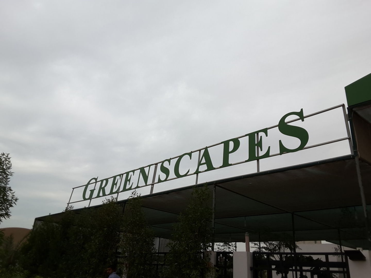 HiDubai-business-green-scapes-home-gardening-landscaping-warsan-3-dubai-2